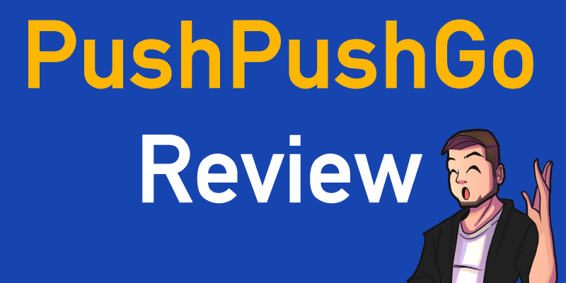 review pushpushgo